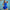 Bombshell Ocean Slimming Swimsuit