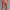 Kevin Shorts