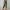 Naja Linen Casual pants