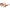 Angelica Retro Double Beam Sunglasses