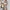 Tina 2 Piece Summer Set