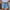 Erin American Vintage Short Jeans