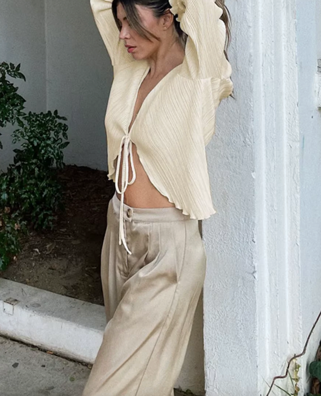 Butterfly Pleated Spring Chic Top