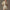 Charlie Boho Set