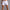Kevin Shorts