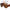 Francesca Aviator Sunglasses
