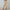 Naja Linen Casual pants